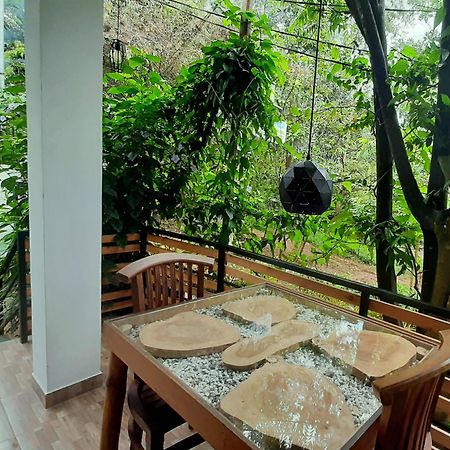 Dhanudi Homestay Ella Εξωτερικό φωτογραφία
