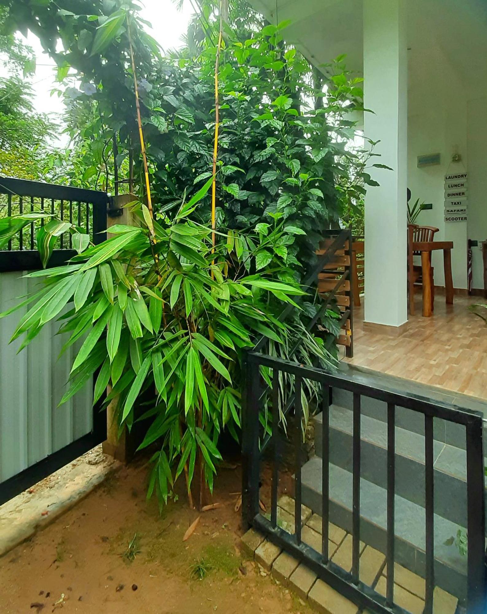 Dhanudi Homestay Ella Εξωτερικό φωτογραφία