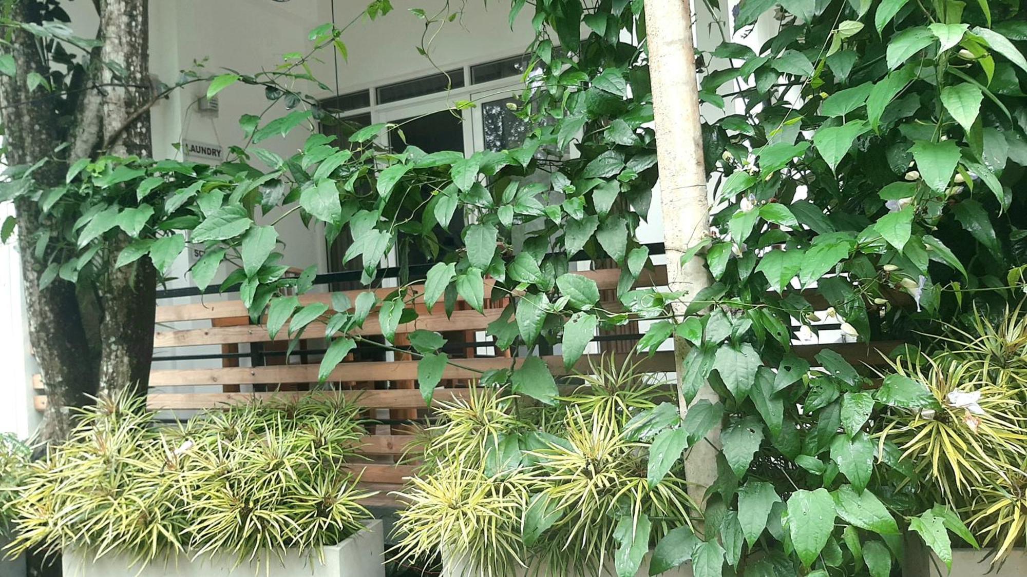 Dhanudi Homestay Ella Εξωτερικό φωτογραφία